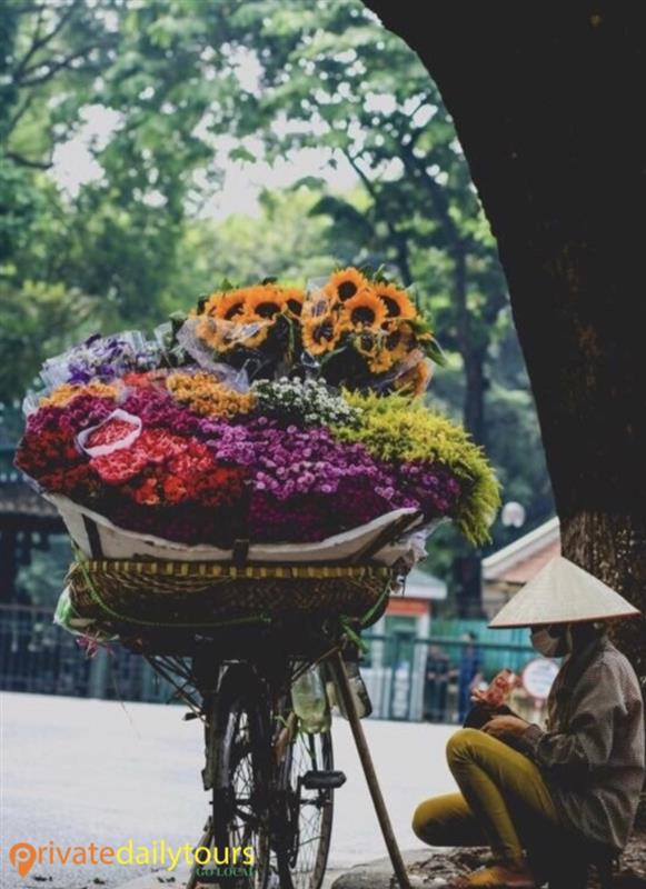 HA NOI CAPITAL